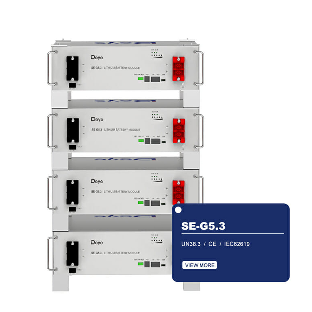 SE-G5.3 51.2V 103Ah 5.32Kwh LiFePO4 Server Rack Battery For ESS