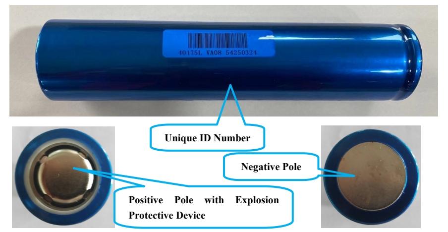 Cell bar code and appearances 