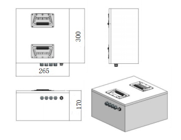 Customized 48V 34Ah Lifepo4 battery pack for logistics machines