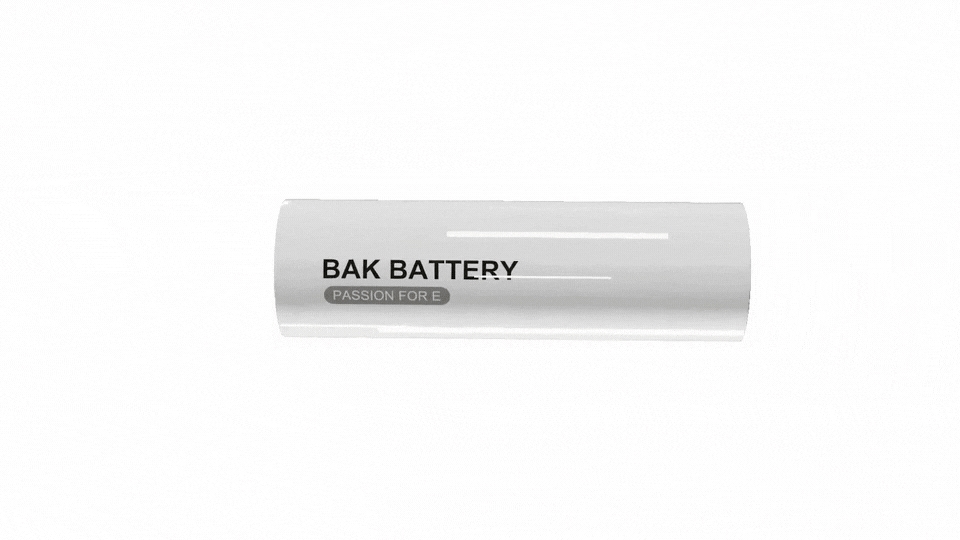 BAK BATTERY