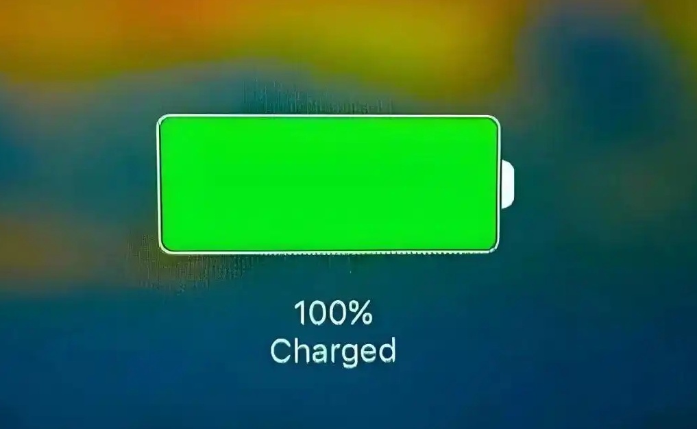 100%charger